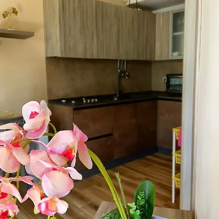 Apartment Relax Con Ampio Giardino Vista Mare Santa Maria (Vibo Valentia)